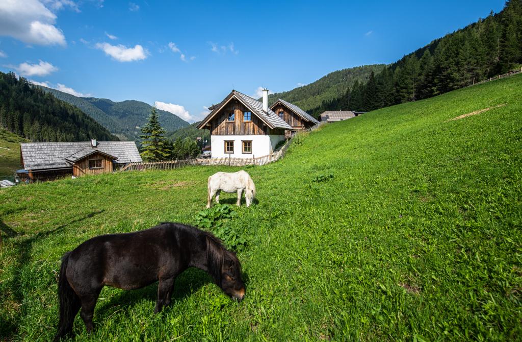 005-20 ©FRANZGERDL HO-Frühauf Family _4335